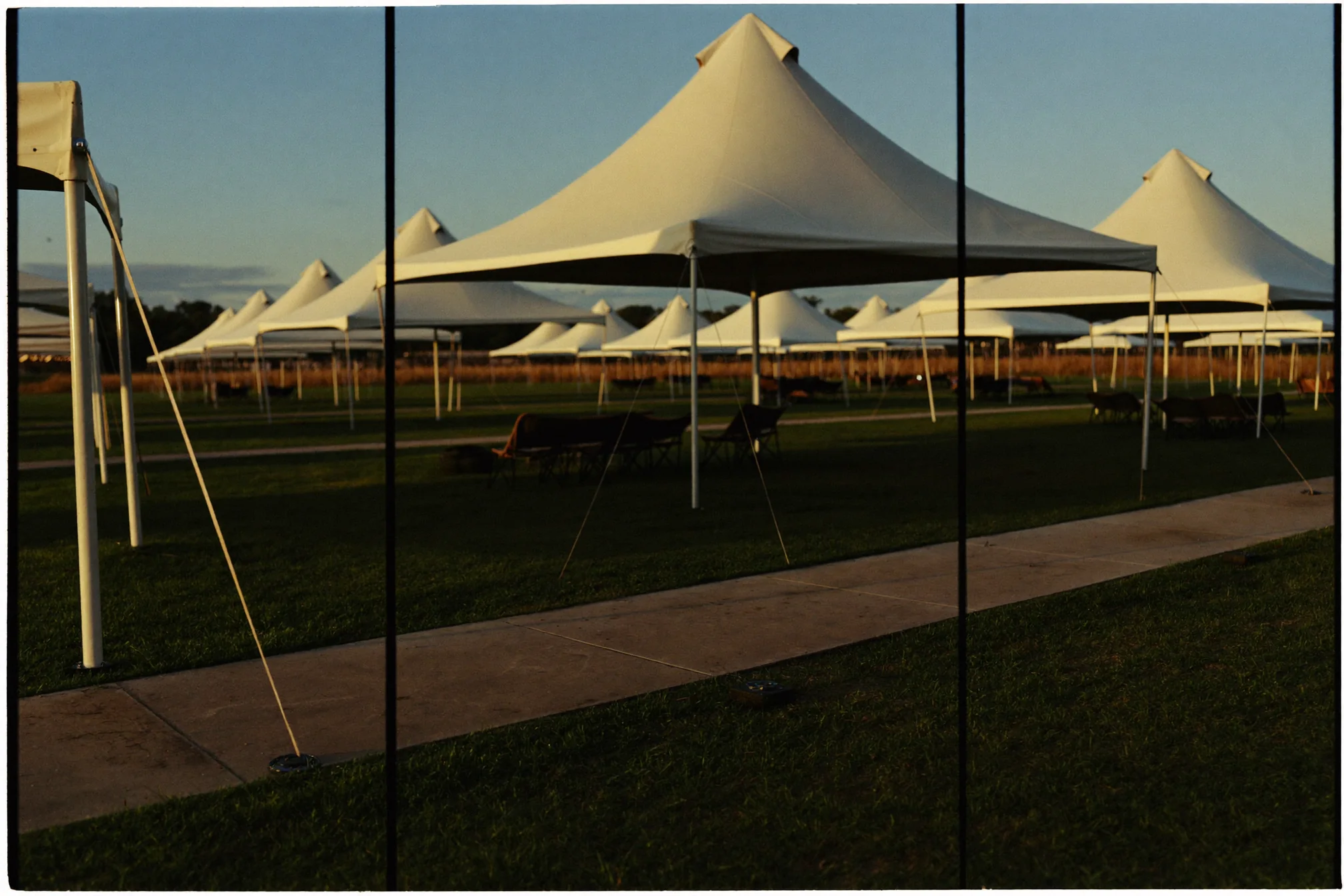 Rows of white event tents on a festival ground at golden hour.